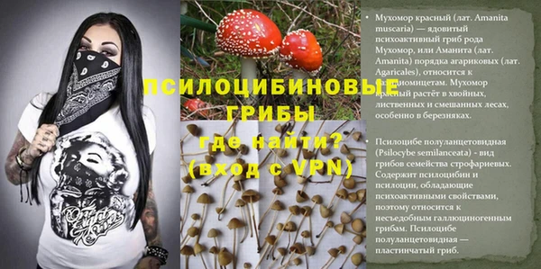 стафф Алзамай