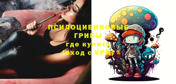 стафф Алзамай