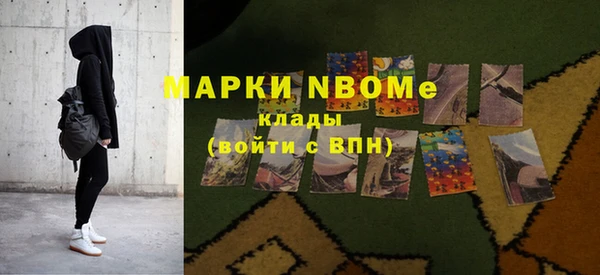 стафф Алзамай